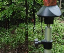 tyczenie-dzialka-teren-lesny (3).jpg